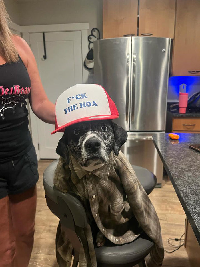 Dog wearing a red F*ck the HOA hat and plaid shirt
