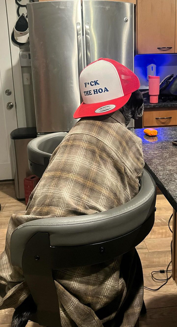 Dog in a plaid shirt wearing the red hat backward